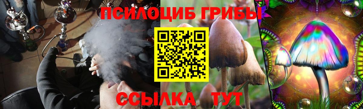 Псилоцибиновые грибы мицелий Невинномысск