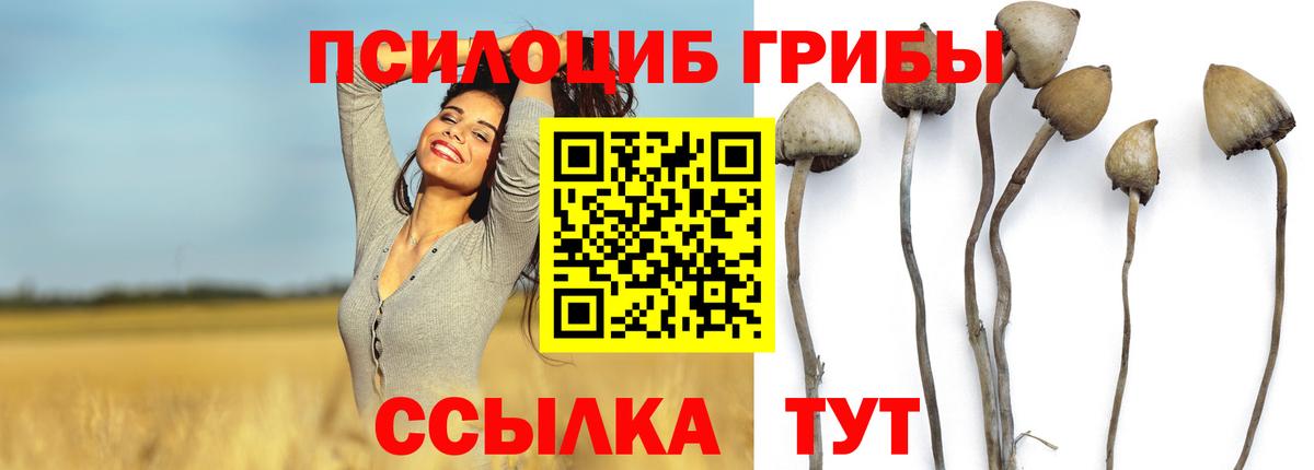 Невинномысск  Галлюциногенные грибы мухоморы  Вход с VPN 