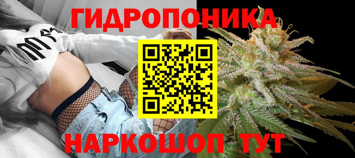 Марихуана Bruce Banner  Вход с VPN  Бошки марихуана марихуана  Невинномысск  Марихуана Bruce Banner 